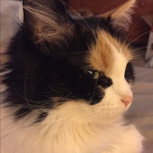 Meet your Posher, Sue